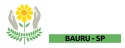 logotipo-apae-bauru-1
